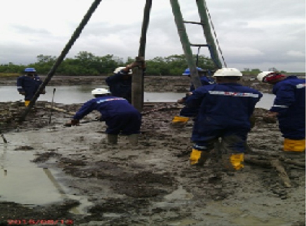 Procurement / Logistics